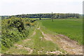 Farm Track towards Joey's Wood in LE14 4QW