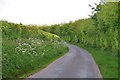 West Somerset : Country Lane in TA24 7DQ