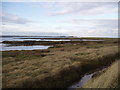 Salt marsh near Kirby-Le-Soken Quay in Kirby-le-Soken & Hamford Ward