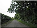 Tree lined road from Rothwell to Cuxwold in LN7 6BP