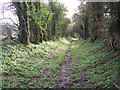 Bridleway near Chalk Pyt Farm in SP5 5ET