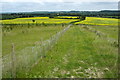 Bridleway towards Marston Moretaine in Cranfield & Marston Moretaine Ward