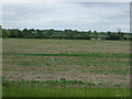Farmland, Rectory Farm in West Rasen