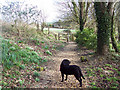 Footpath to Broad Chalke from High Lane in SP5 5DH
