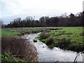 River Ebble, Broad Chalke in SP5 5DH