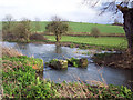 Broken hatches on the River Ebble at Bishopstone in SP5 4BW