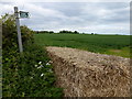 Footpath from Grange Lane, Littleport in CB6 1SS