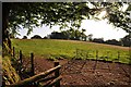 Mid Devon : Grassy Field in EX16 8JN