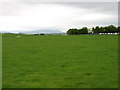 Fields at Newtown Farm in CA6 4NS