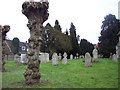 Churchyard, St Peter and St Paul, King's Somborne in SO20 6QB