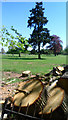 Trees and Logs, Crowsley Park in RG9 4JH