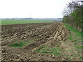 Ploughed Field in CO9 3EB