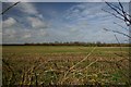 Open farmland north of Little Eversden in CB23 1HJ
