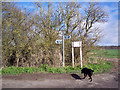 Ox Drove and bridleway junction near Barford St Martin in Barford St. Martin