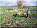 Bridleway with log barrier near Barford St Martin in Barford St. Martin