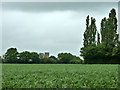 View towards the church, Beauchamp Roding in CM5 0PH