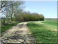 Bend In Farm Track in CO9 3BL