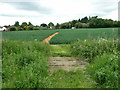 Footpath, Fyfield in CM5 0RL