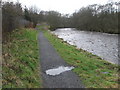 River Ayr Way at Catrine in KA5 6PS