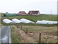 Polytunnels at South Brough in ZE2 9BZ