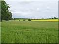 Arable Land, near Howe Street, Finchingfield in CM7 4PH