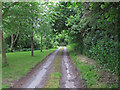 Track to Lone's Hole, Shalford in CM7 5FU