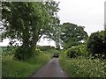 Narrow lane, near East Combe in TA4 3ED