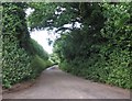 Minor road to Bishop's Lydeard in TA4 3DS