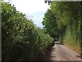 Lane at Ashley leading to Bowley in EX5 5PR