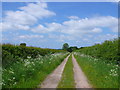 Bridle path at Haselor Lodge in B49 6NB