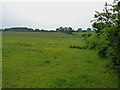 Pastureland south of Newlands Lane in WS12 3HA