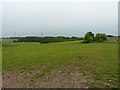 Bridleway across an open field in WS12 3HA