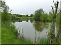 A small pool near the landfill site in WS11 8NJ