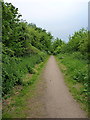 Path in the Nature Reserve in WS11 6UR