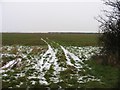 Tracks in a field in Old Weston