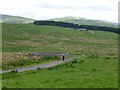 Sheepfold with Ewartly Shank beyond in Alnham