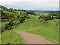 Path from Turnhouse Hill in EH26 0PT