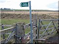 Gate at Leamside in DH4 6QQ