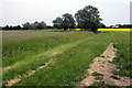 Bridleway to Cornfields follows the line of the stream in MK45 4QP