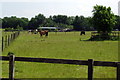 Paddock by the bridleway in MK45 4SR