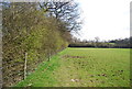 Bridleway along hedge in TN11 9NS