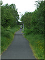 National Cycle Network Route 75 in Linwood