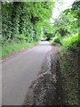 Country lane off A456 in DY10 3NJ