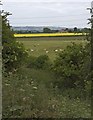 Fields near High Catton in YO41 1EP