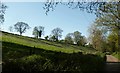 Hillside below Beacon Hill in EX13 7LB
