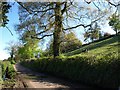 Lane below Readshill Farm in EX13 7LA