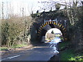 Railway Bridge, Low Tharston in Tharston and Hapton