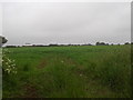 Looking west from Yatton Road into a field in SN14 7BZ