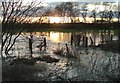 River Thame in flood by railway at Notley 67 in HP18 9ER
