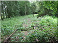 Former railtrack of the Bristol to Portishead Railway in BS20 9XP